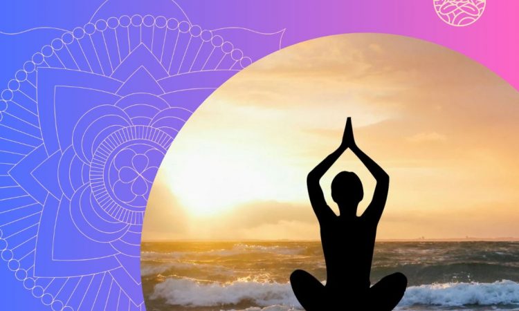 yoga & wellness books to buy nd download at Namaste Hatha Yoga